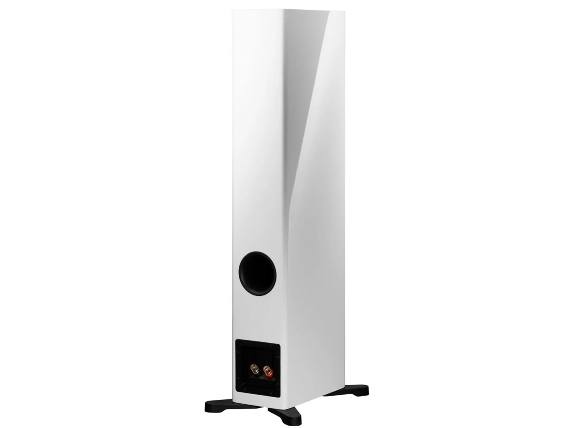 Image du produit 19